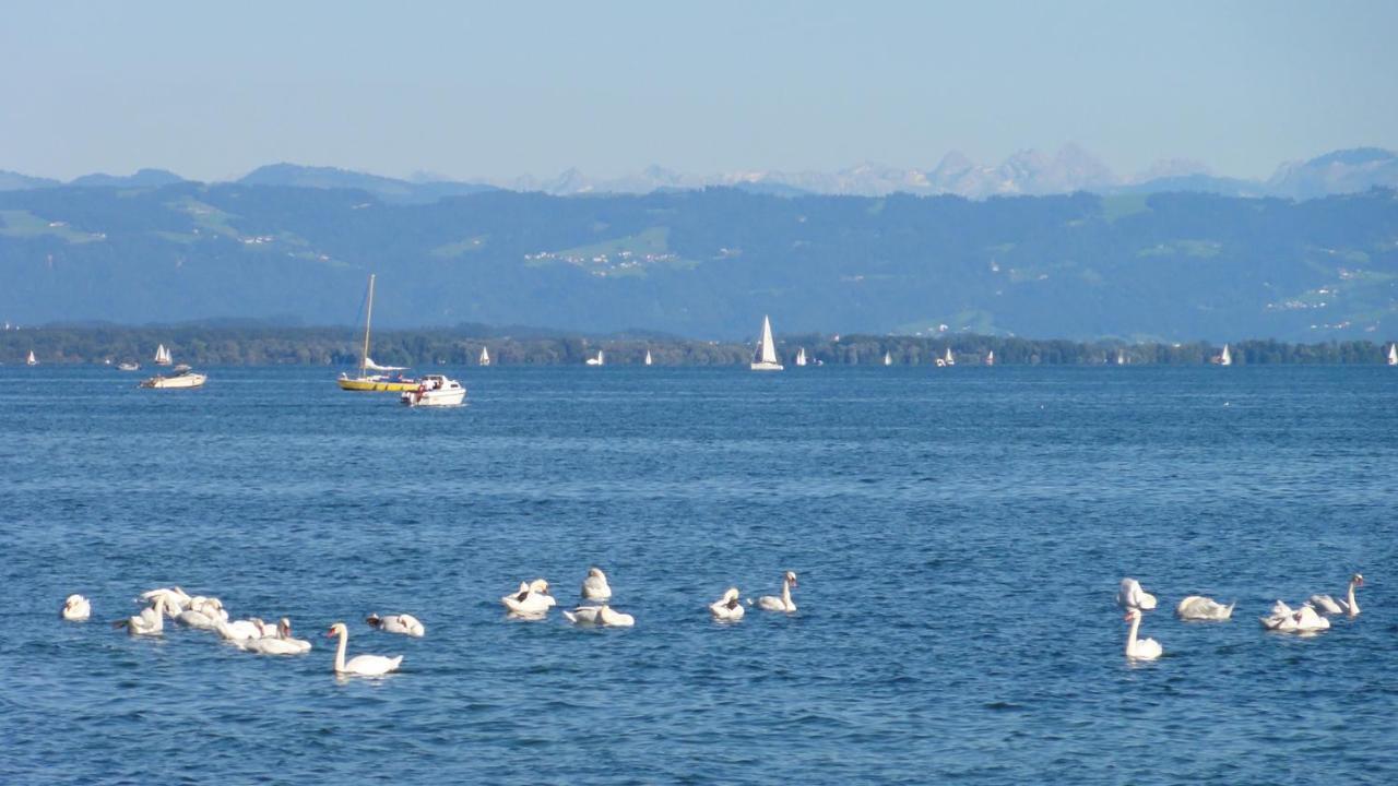 Gästehaus zum Landesteg Immenstaad am Bodensee Exterior foto